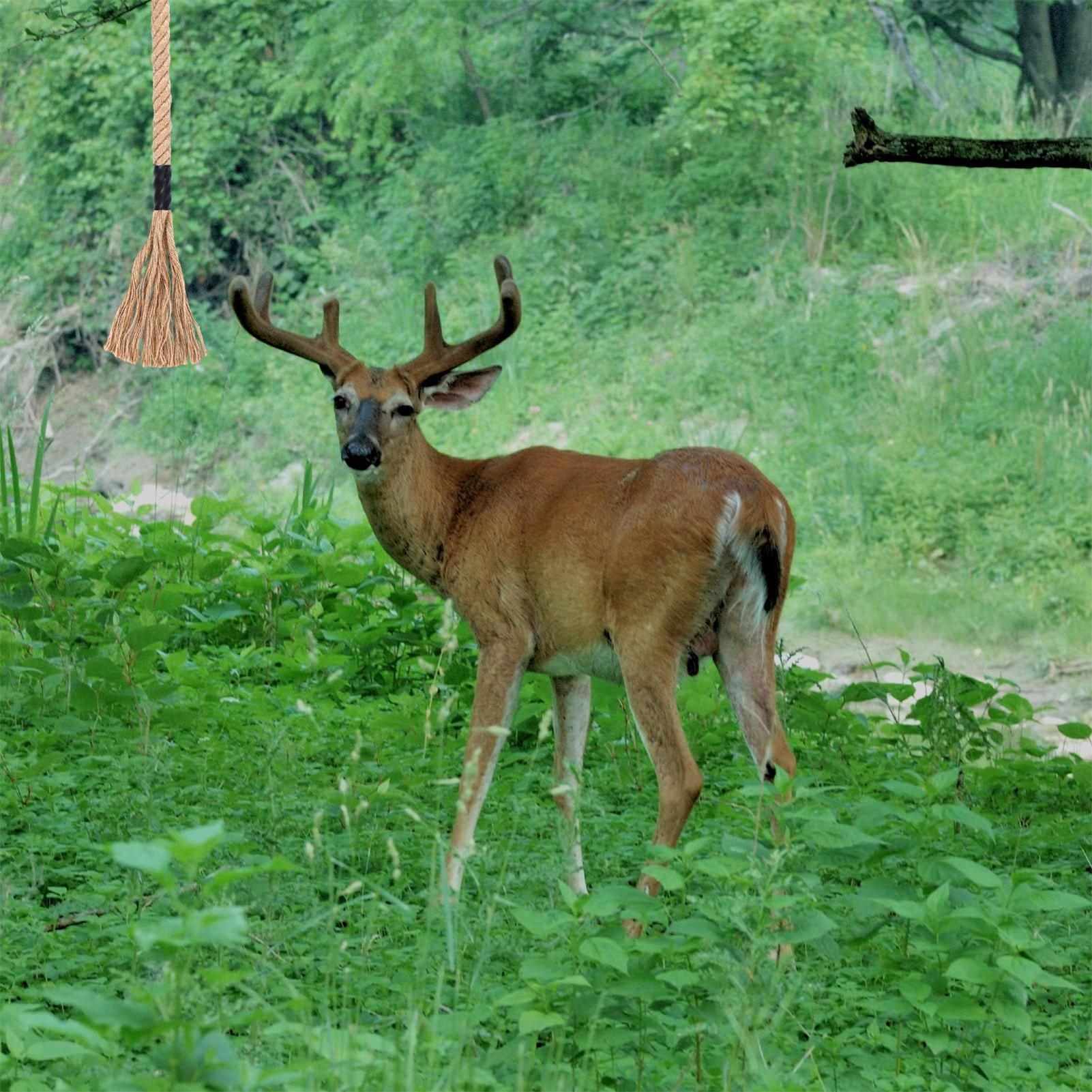 كشط غزال فعال يدوم طويلاً جاذب - مراجعة Deer Attractant Scent وسعره