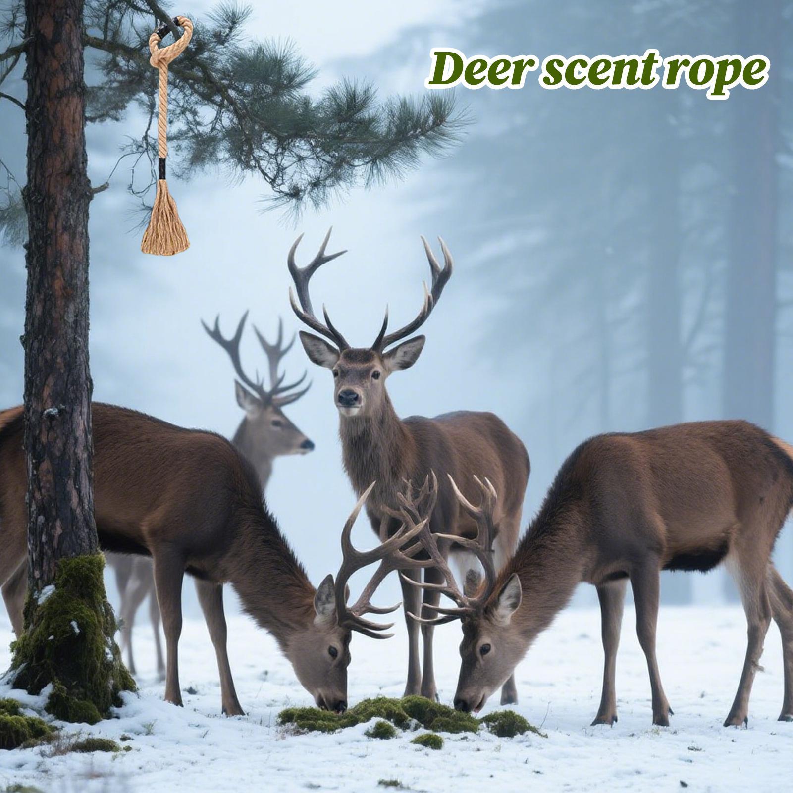 كشط غزال فعال يدوم طويلاً جاذب - مراجعة Deer Attractant Scent وسعره