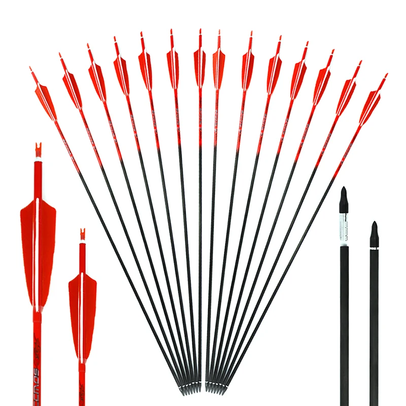 6 قطع/12 قطعة/24 قطعة من أعمدة - مراجعة Arrow Carbon Shaft وسعره