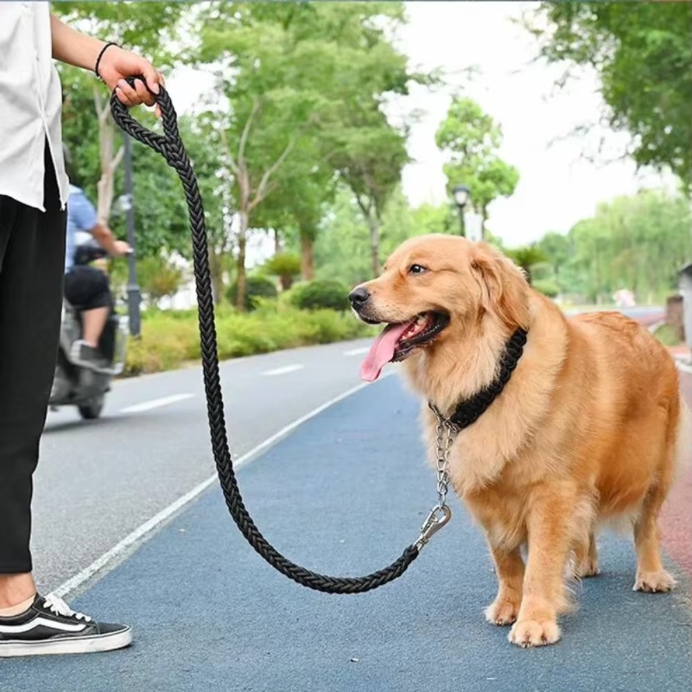 حبل توجيه للكلاب كبير الحجم وم - مراجعة Outdoor Hunting Dogs وسعره